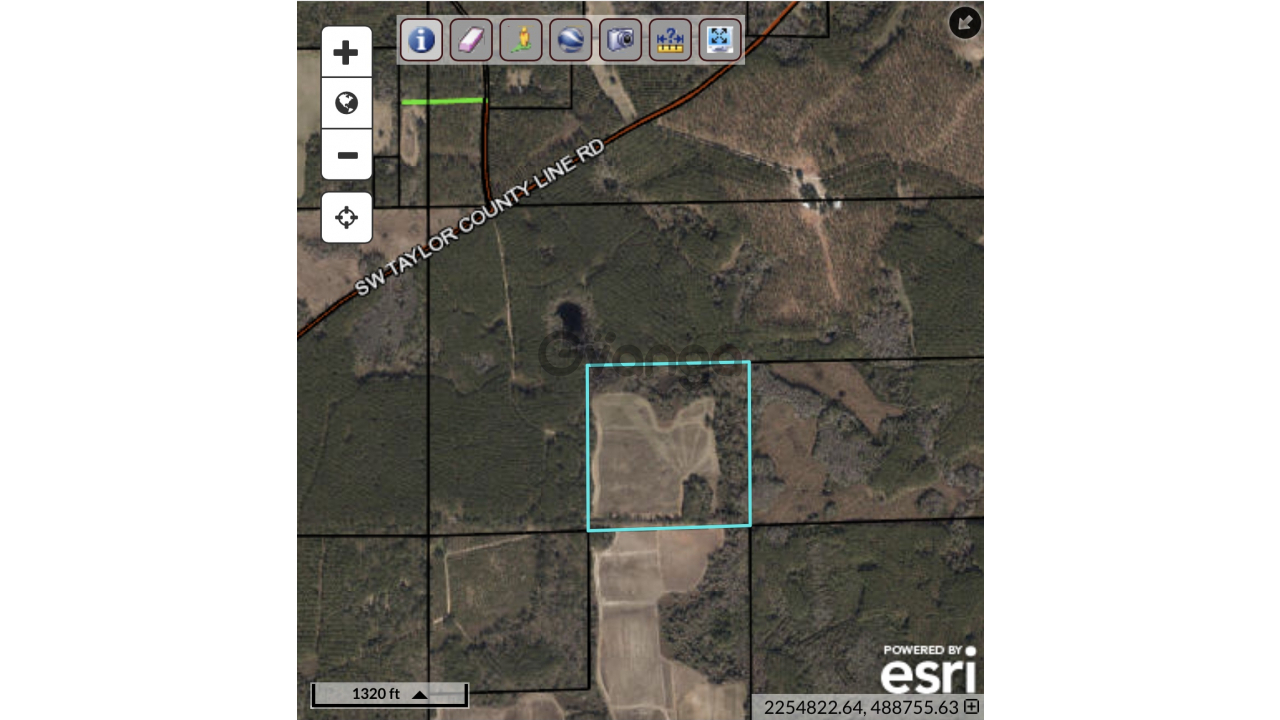 354838_land-for-rent-40-acre-sw-taylor-county-line-rd-zip-code-32331.jpeg