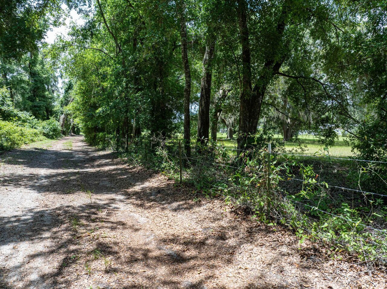 368047_land-for-sale-924-sq-ft-237-n-w-lower-springs-rd-zip-code-32055.jpg