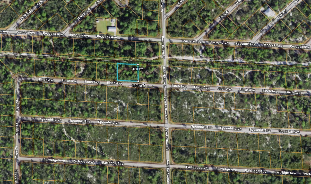 368526_land-for-sale-0-476-acre-3507-finch-ave-zip-code-33852.jpg