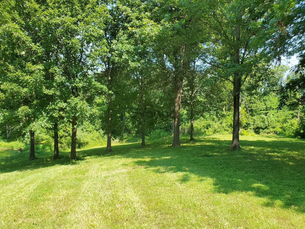 368590_land-for-sale-10-acre-324-hug-cemetery-rd-zip-code-62275.jpg
