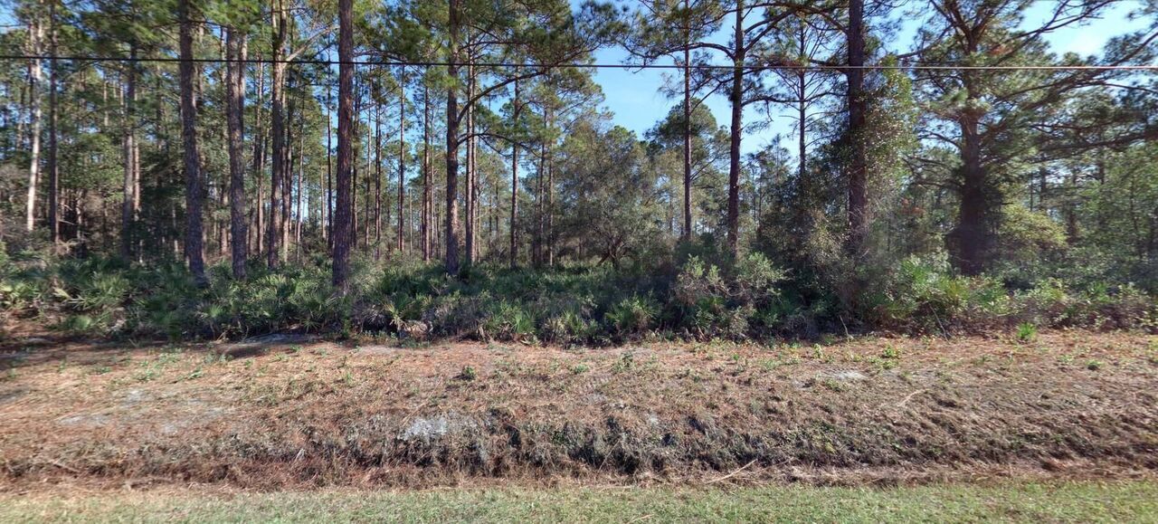 368647_land-for-sale-1-14-acre-10560-beckenger-ave-zip-code-32145.jpg