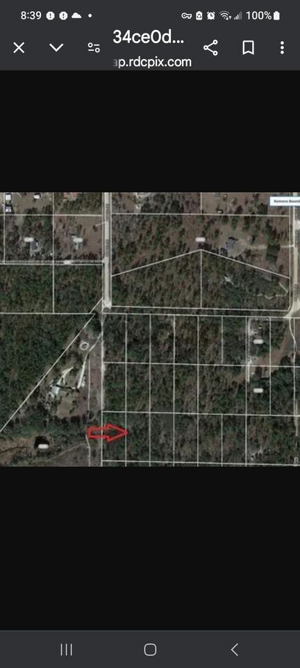369620_land-for-sale-1-25-acre-se-120-ave-zip-code-32668.jpg