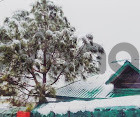 373844_holiday-homes-in-kasauli-comfortable-stays-by-meraki-holiday-homes.jpeg