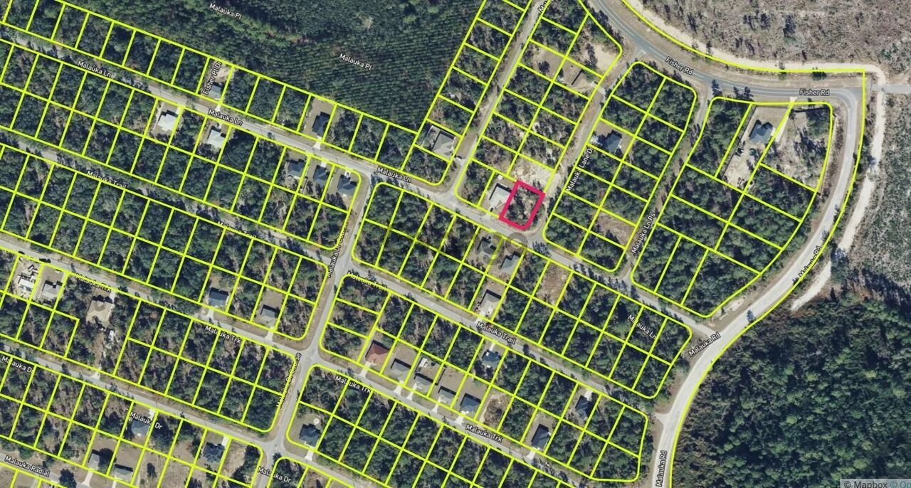 374407_land-for-sale-0-24-acre-0-malauka-ln-dr-zip-code-32179.jpg
