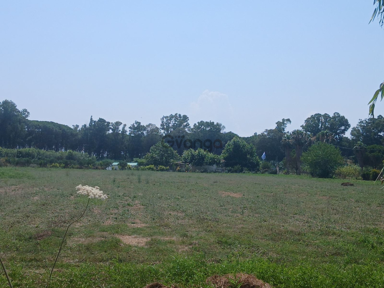 376828_exclusive-buildable-plot-15-000-m-in-western-peloponnese-500m-from-the-beach-with-premium-infrastructure.jpg