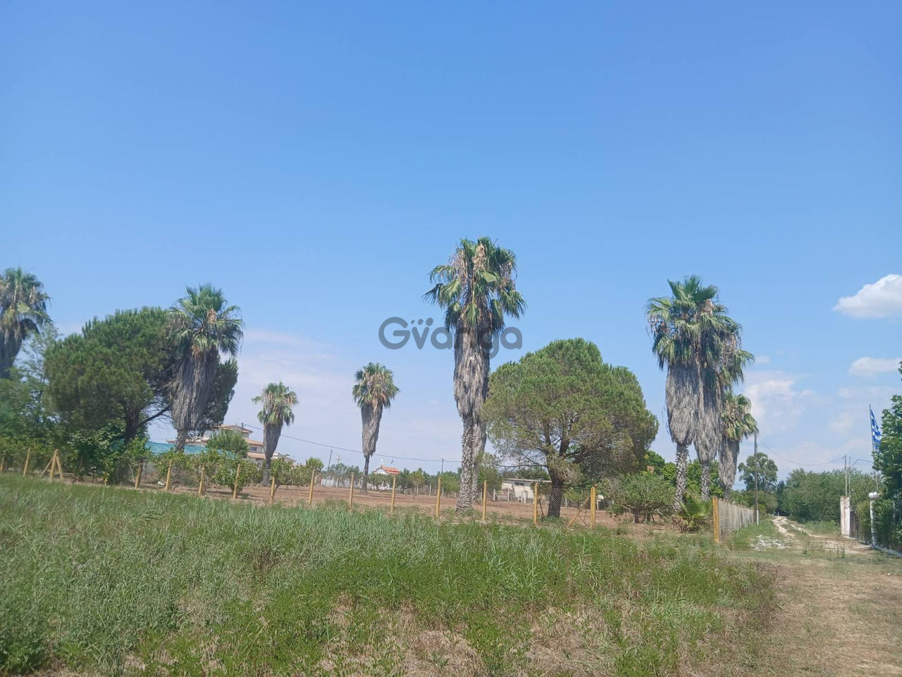 376830_exclusive-buildable-plot-15-000-m-in-western-peloponnese-500m-from-the-beach-with-premium-infrastructure.jpg