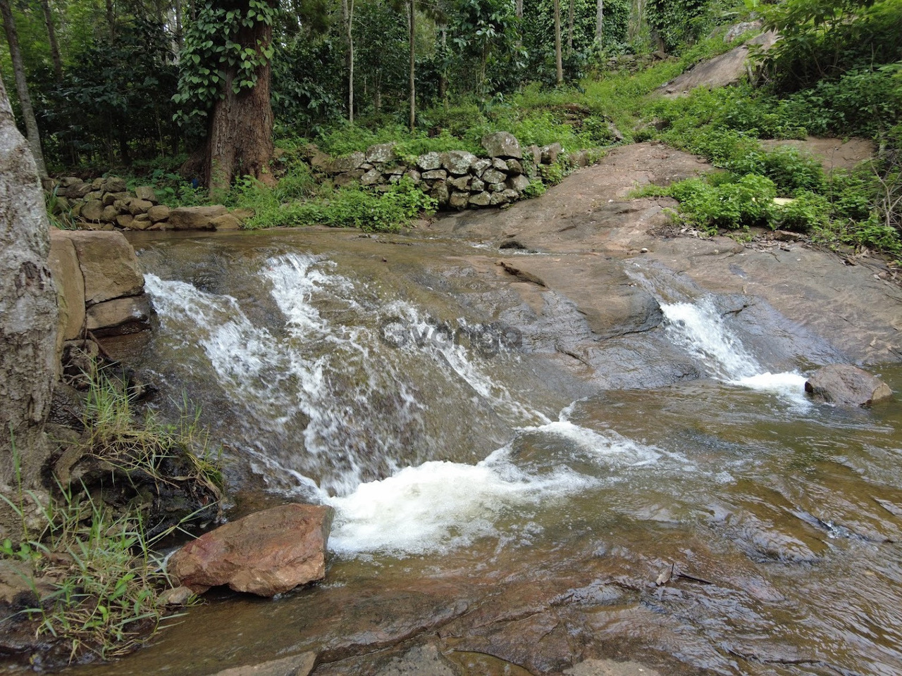 378351_family-resort-kolli-hills-hill-view-resort-kolli-hills.jpg