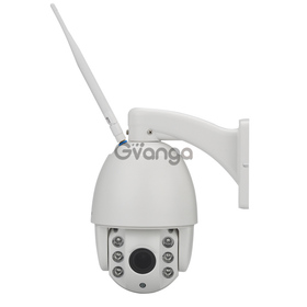 IP66 Outdoor IP PTZ Security Camera