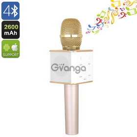 Q7 Bluetooth Karaoke Microphone (Gold)