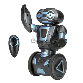 HG 2.4G Auto Balance RC Stunt Robot