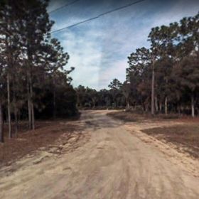 Land for Sale 0.35 acre, 114 Crows Bluff Road, Zip Code 32189