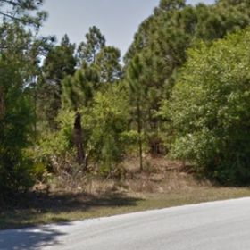 Land for Sale 0.23 acre, 23405 Patera Avenue, Zip Code 33980