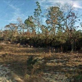 Land for Sale 0.24 acre, 11341 Northeast 66 Street, Zip Code 32696