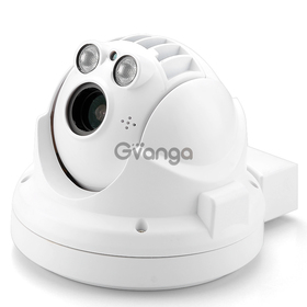 Outdoor Weatherproof Mini IP Camera