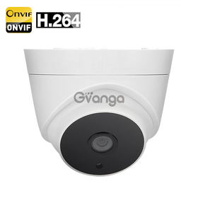 Indoor 720p IP Camera