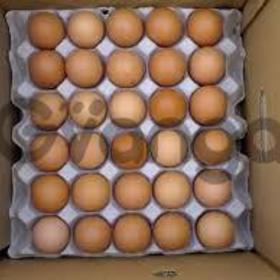 White and brown eggs for sale
