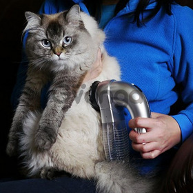 Pet Hair Vac Vacuum Removal Fur Suction Grooming Device Incredible Cordless Pet Vac