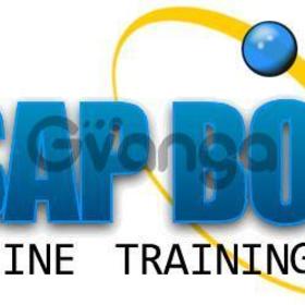 online training for sap BO 4.1