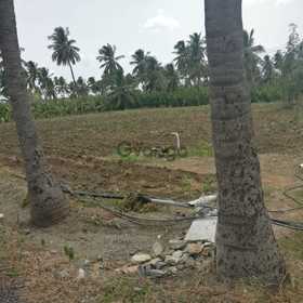 2 acre agricultural land for sale