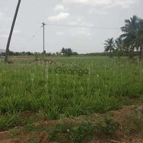 5 acre agricultural land for sale