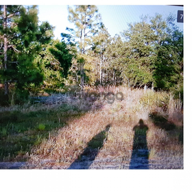 Land for Sale 1.44 acre, Starry St, Zip Code 32833
