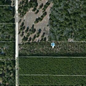 Land for Sale 354000 sq.ft, 0 223ND RD, Zip Code 32060