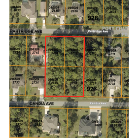 Land for Sale 0.92 acre, Candia Ave, Zip Code 34286