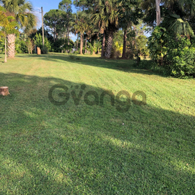 Land for Sale, 781 NE Lanfair St, Zip Code 34983