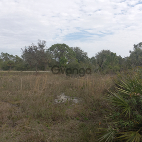 Land for Sale 1.25 acre, 7357 Alan Blvd, Zip Code 33982