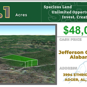 Land for Sale 8.1 acre, 3994 Ethridge Rd, Zip Code 35006