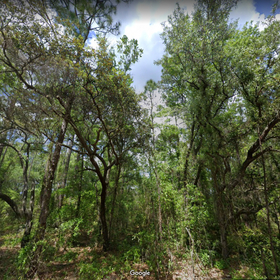 Land for Sale 0.95 acre, 1173 W Olympia St, Zip Code 34442