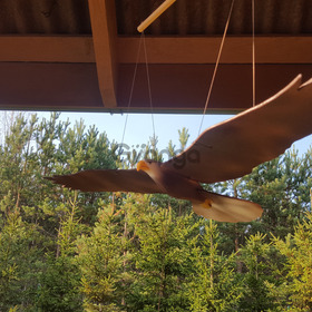 Hanging wooden eagle