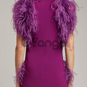 Shop Stylish Top With Feather
