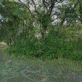 Land for Sale, 43 N Croft Ave, Zip Code 34453