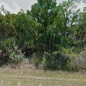 Land for Sale 23 acre, 14035 Gailwood Ave, Zip Code 33953