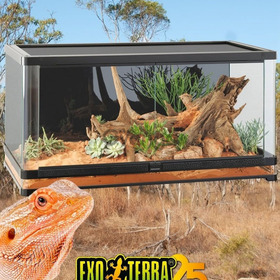 Exo Terra Glass Terrarium