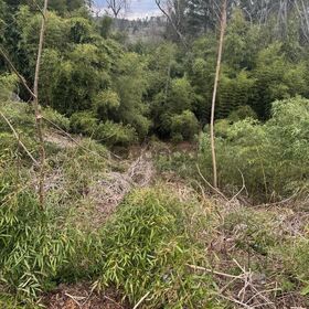 Land for Sale 0.17 acre, 34 Belleair Rd, Zip Code 28806