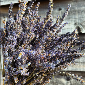 Best Dried Lavender Bunches for Wedding Decor UK – Save £10 Instantly, Order Now!