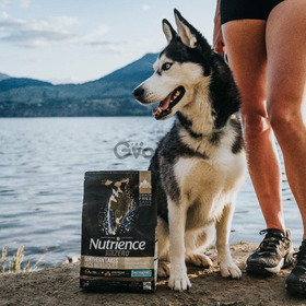 Dog Food for Daily Balanced Nutrition