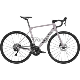 2026 Canyon Endurace CF 7 Road Bike (CENTRACYCLES)