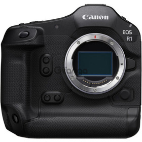 Canon EOS R1 Mirrorless Camera (INDOELECTRONIC)