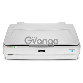 Epson Expression 13000XL Archival Scanner (MEGAHPRINTING)
