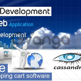 Software Development and Web Design Services