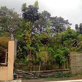 Residential Farm lot for sale in Morong Rizal