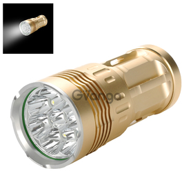 Skyray CREE T6 LED Flashlight (Gold)