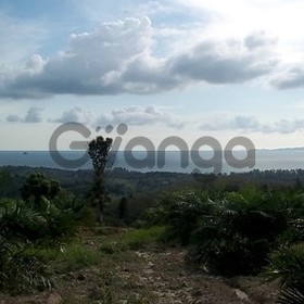 8 Rai Land with sea view for Sale between Ao Nang and Klong Muang