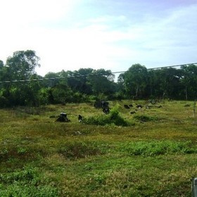 Land for Sale 17600 sq.m, Had Yao