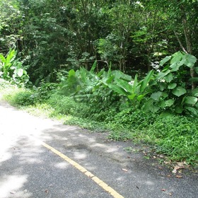 Land for Sale 4800 sq.m