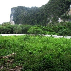 Land for Sale 3986 sq.m, Ao Nang