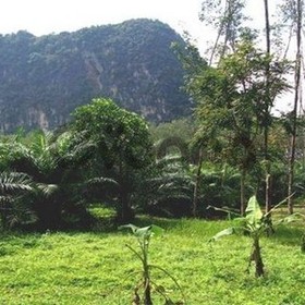 Land for Sale 6400 sq.m, Chong Plee